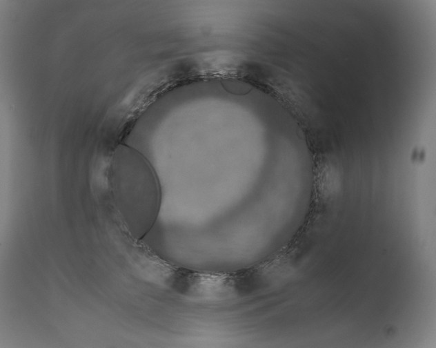 X0000111010709200907101316