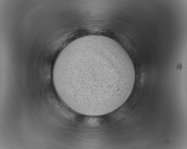 X0000111010710200907101316