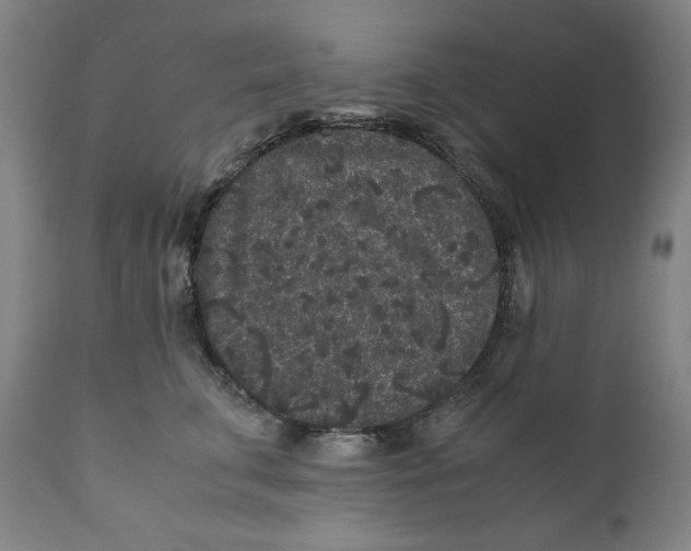 X0000111010711200907101316