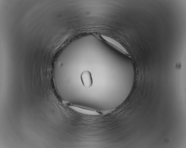 X0000111010712200907101315