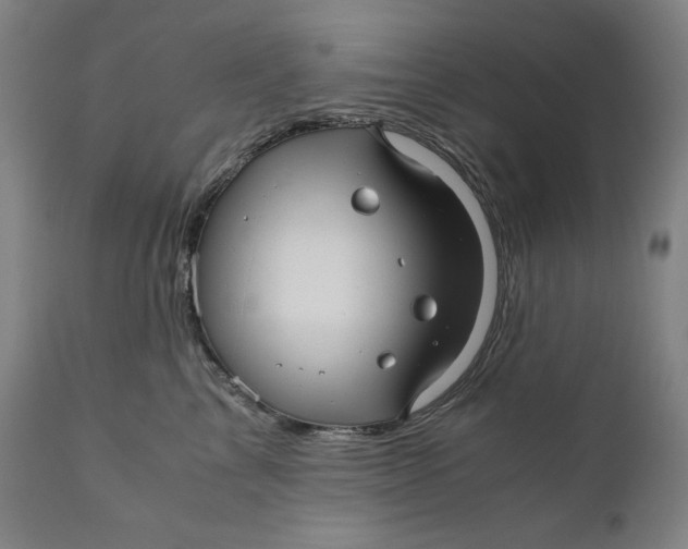 X0000111010713200907101315