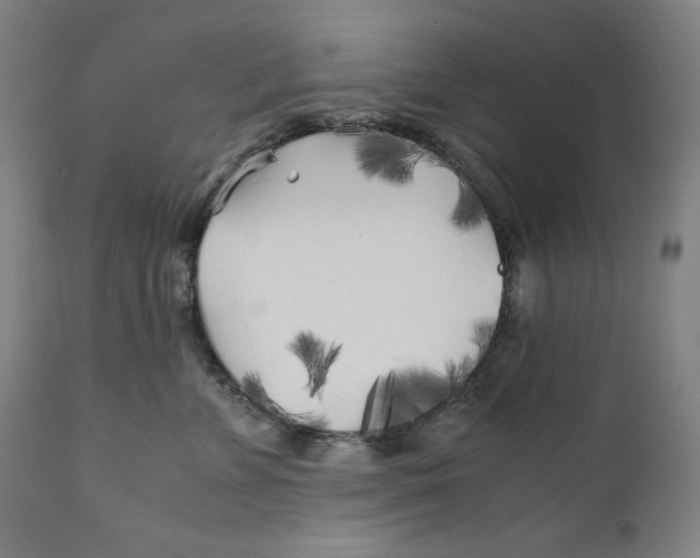 X0000111010715200907101315