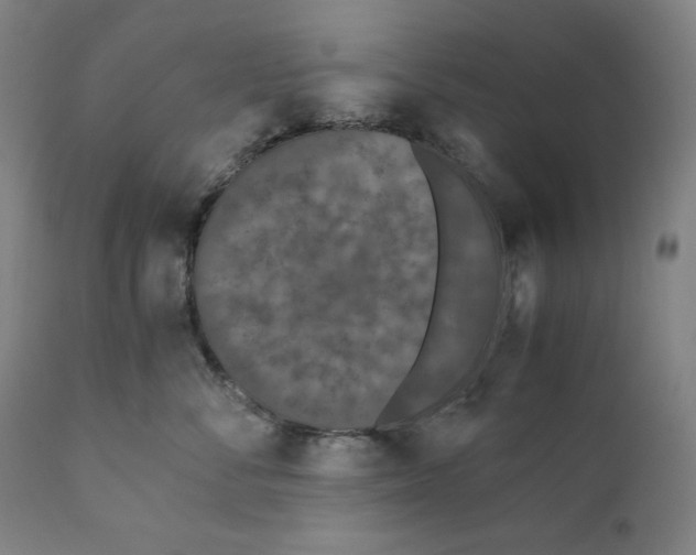 X0000111010716200907101315