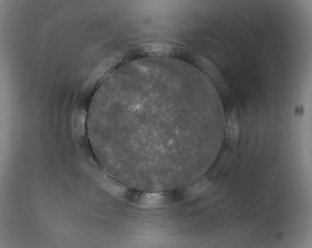 X0000111010717200907101315