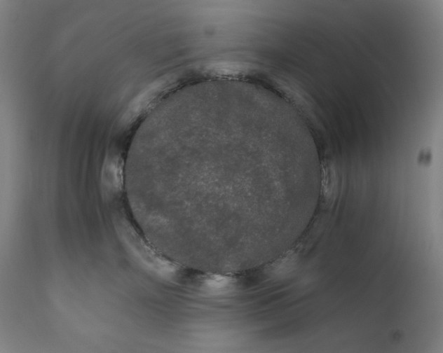 X0000111010718200907101315