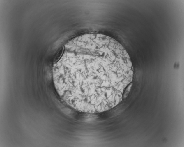 X0000111010719200907101315