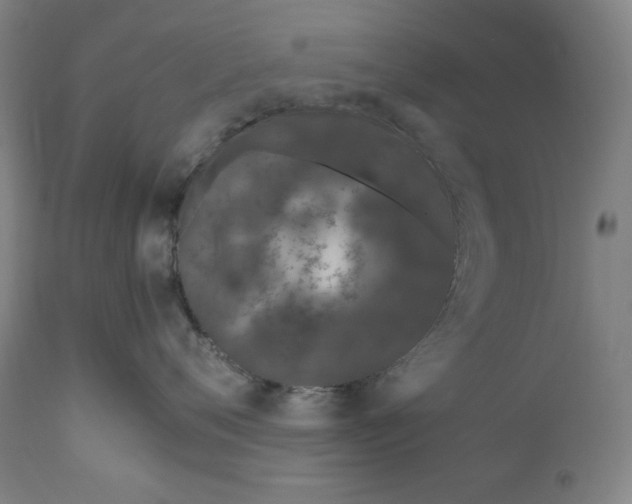 X0000111010720200907101315