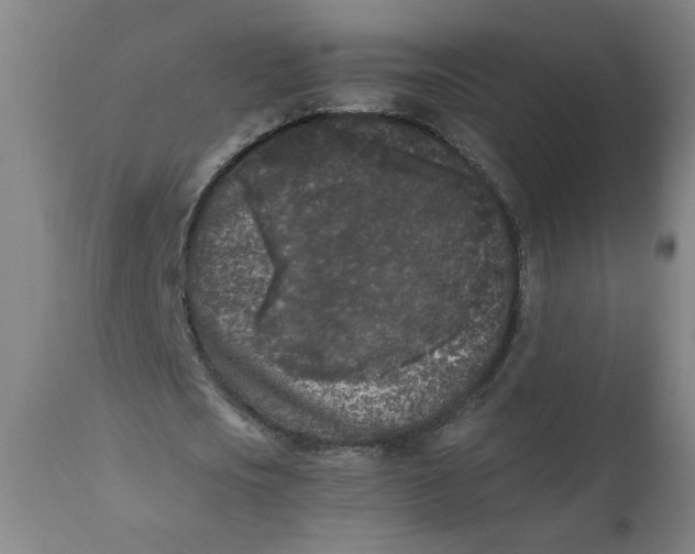 X0000111010721200907101314