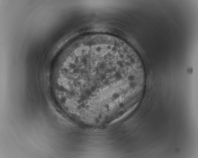 X0000111010722200907101314