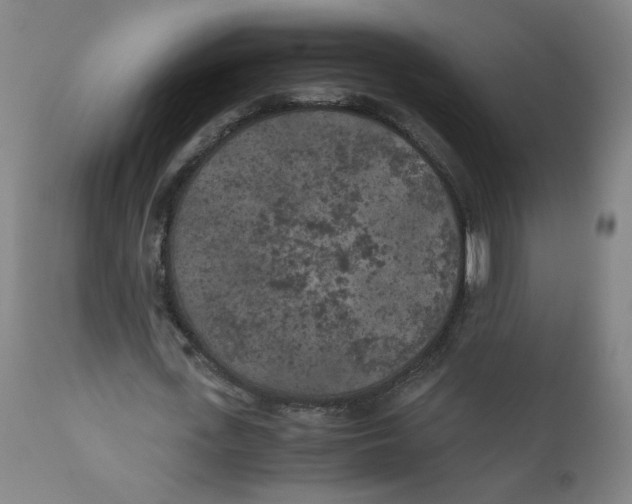 X0000111010723200907101314