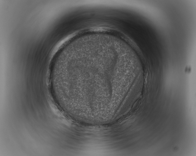 X0000111010724200907101314