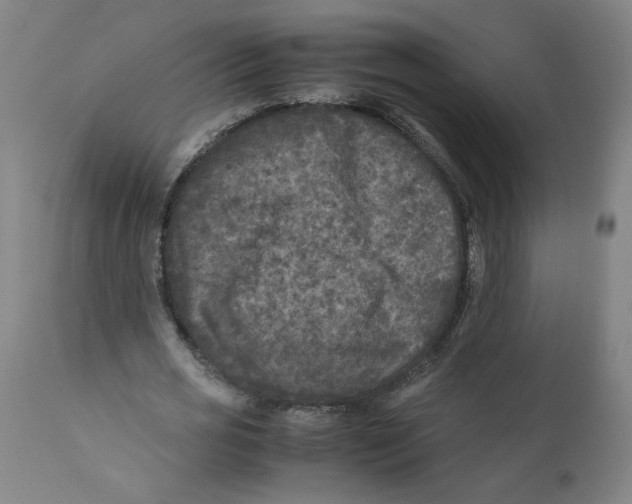 X0000111010725200907101314