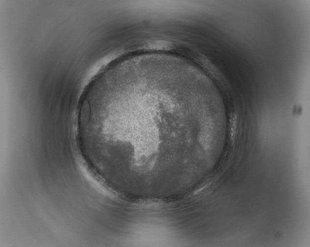 X0000111010726200907101314