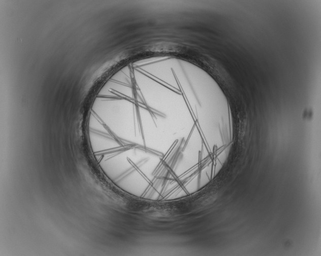 X0000111010727200907101314