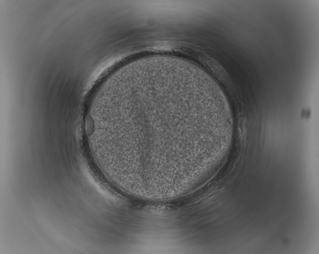 X0000111010728200907101314