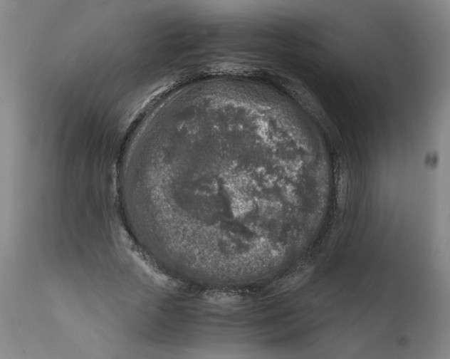 X0000111010729200907101314