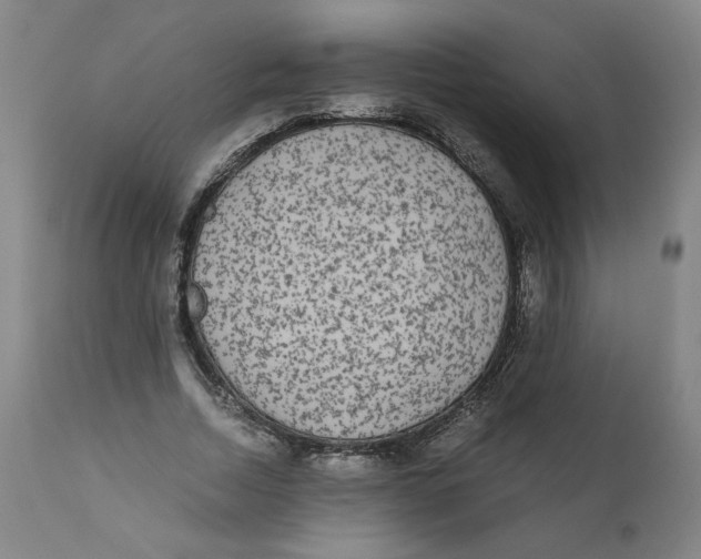 X0000111010730200907101315