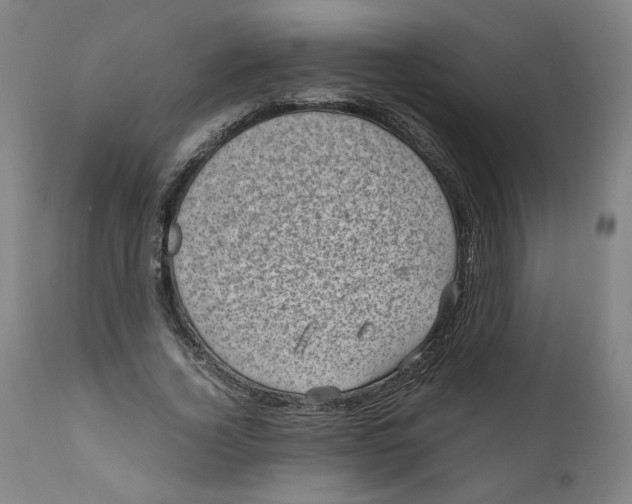 X0000111010732200907101315