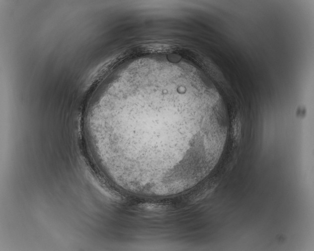 X0000111010733200907101315