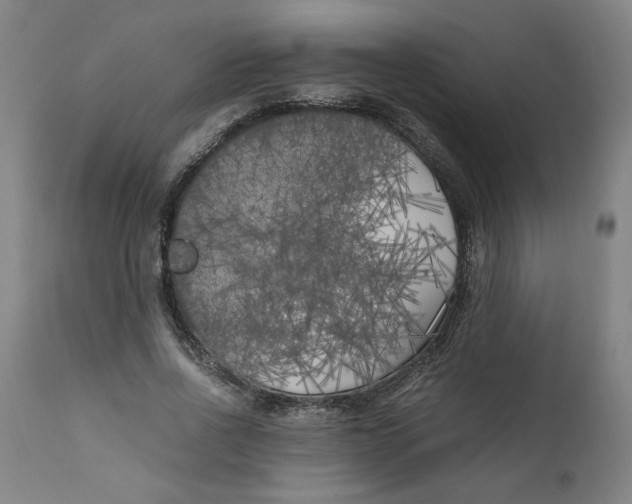 X0000111010734200907101315