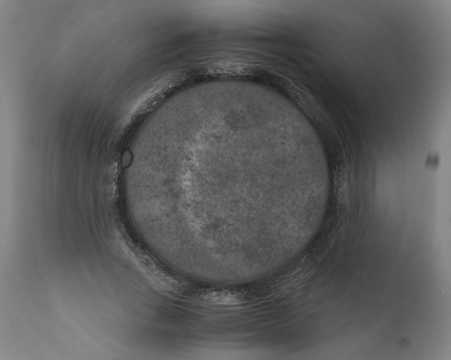 X0000111010735200907101315