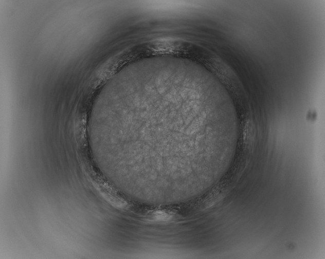 X0000111010737200907101315