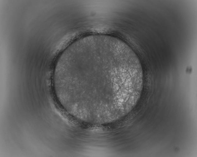 X0000111010738200907101315