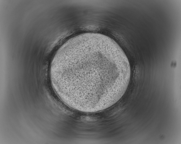 X0000111010739200907101315