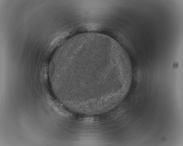 X0000111010740200907101315