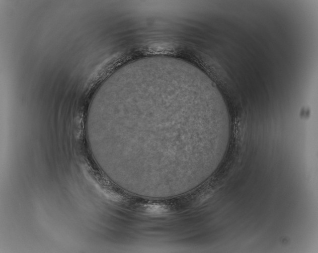 X0000111010741200907101315