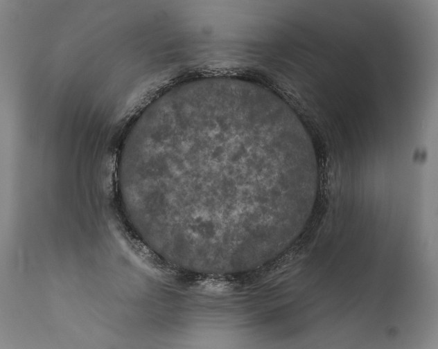 X0000111010742200907101315
