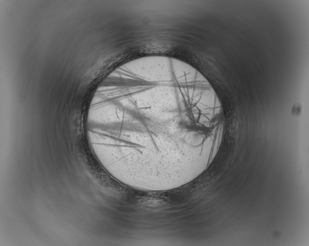 X0000111010743200907101315