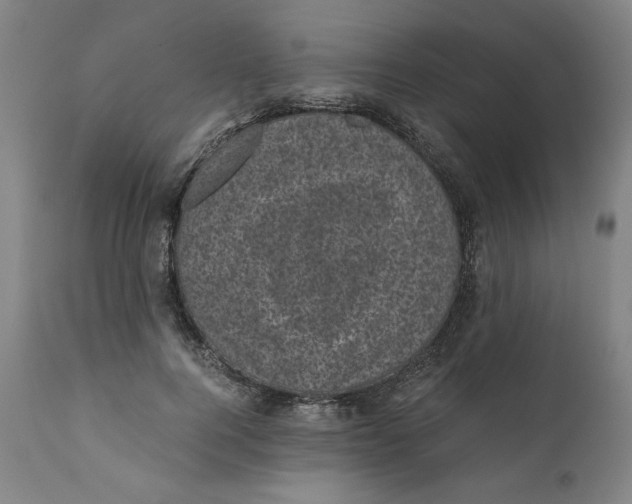 X0000111010744200907101315