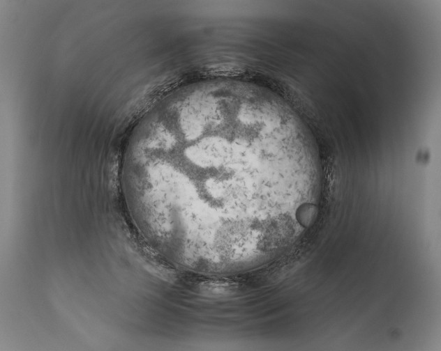 X0000111010745200907101315