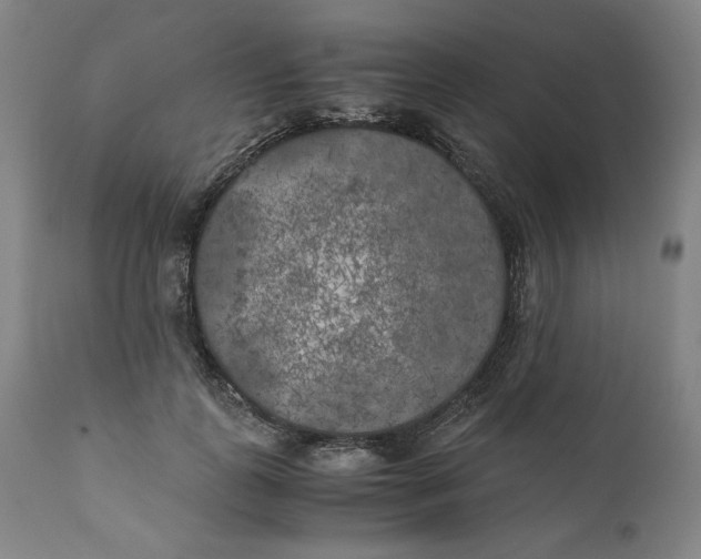 X0000111010747200907101315