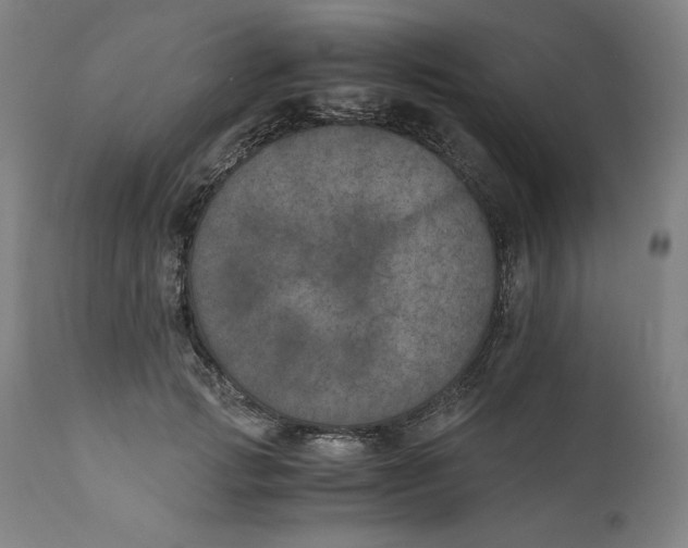X0000111010749200907101315
