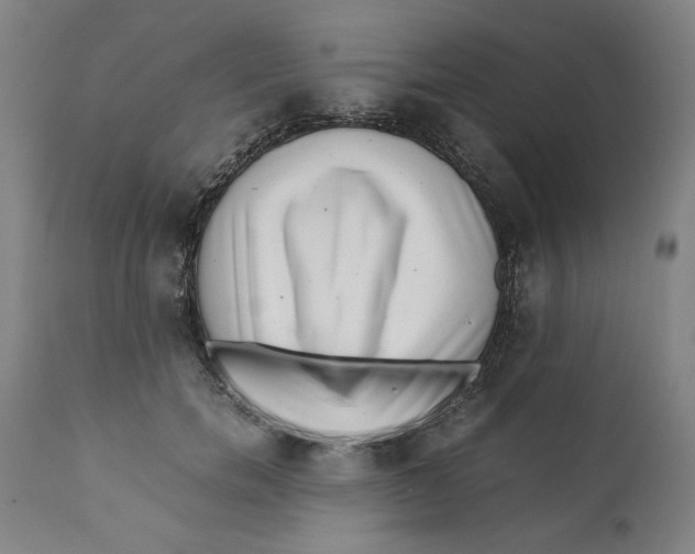 X0000111010750200907101315