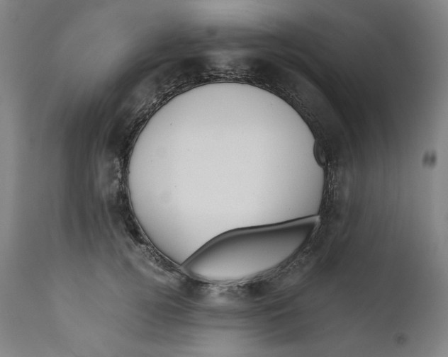 X0000111010752200907101315
