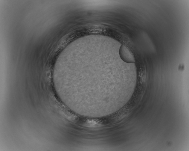 X0000111010753200907101315