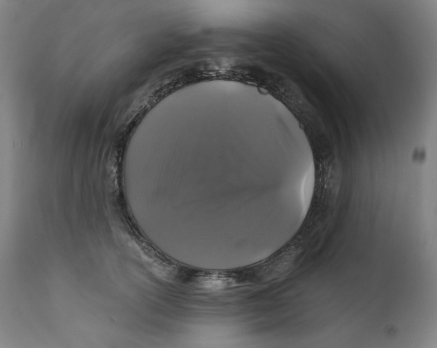 X0000111010754200907101315
