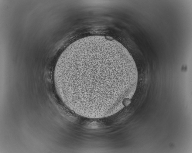 X0000111010755200907101315
