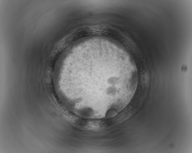 X0000111010757200907101315