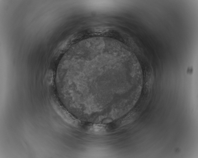 X0000111010758200907101315