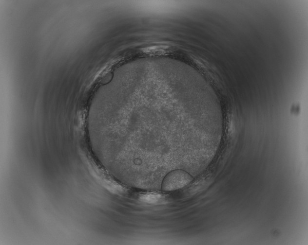 X0000111010759200907101315