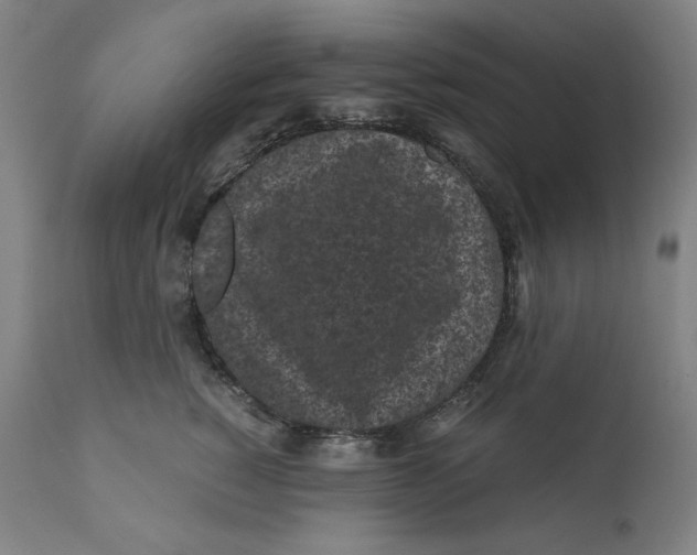 X0000111010760200907101315