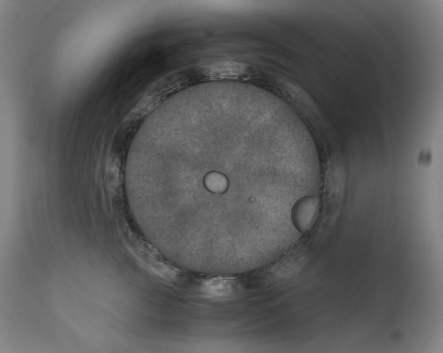 X0000111010761200907101315