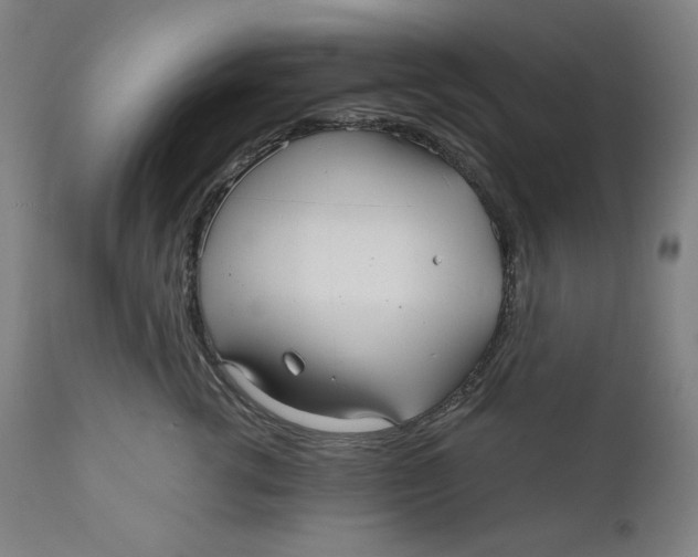 X0000111010762200907101315