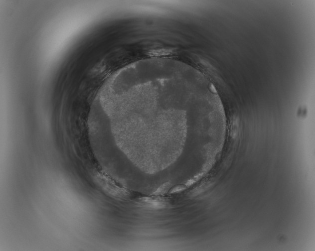 X0000111010763200907101315
