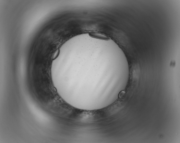 X0000111010764200907101315