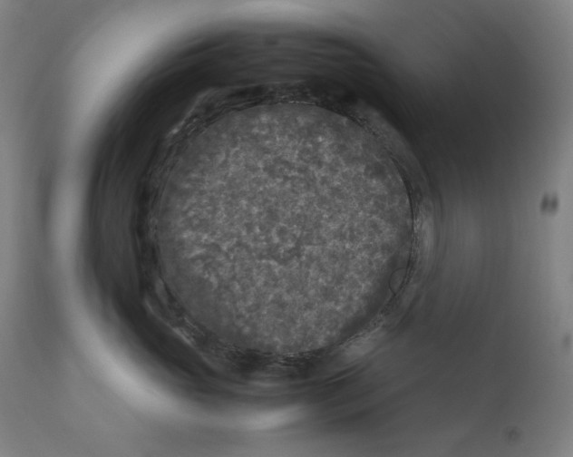X0000111010765200907101315